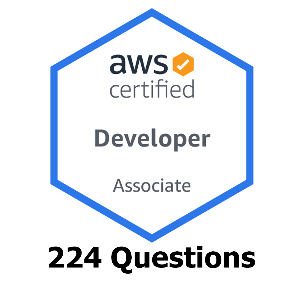 Download AWS Certified Developer Associate DVA-C01 Mock Exam Sample Sns-Brigh10